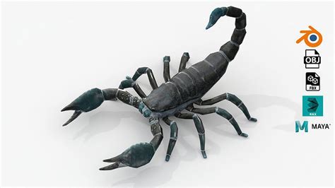 3D Model Low Poly Scorpion Rigged VR AR Low Poly CGTrader