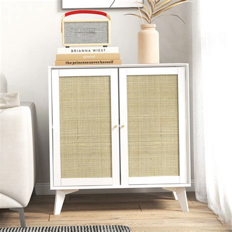 Bay Isle Home Arialle Door Accent Cabinet Wayfair