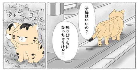 ＜画像77 89＞【ネコ漫画】用水路に落ちそうな子猫を助けたものの、母猫と引き離したことに罪悪感。「絶対にこの子を幸せにする。これが私に