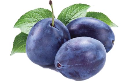 Plum Png Images Hd Png Play