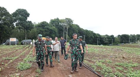 Kasad Ubah Lahan Tidur Jadi Lahan Produktif