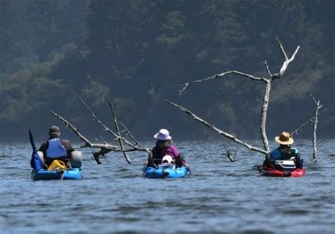 Best Places To Go Kayaking In California Places To Go Paddle