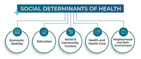 Social Determinants Of Health Reema Health