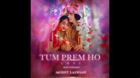 Tum Prem Ho Tum Preet Ho Radha Krishna Bhakti Love Mind Relaxing