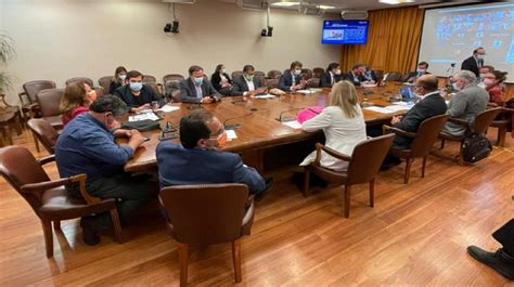 Comisión De Constitución Decidió Fusionar En Dos Grupos Los Proyectos