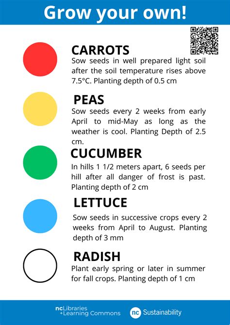 Plant Your Own Seeds Nc Sustainability Niagara College
