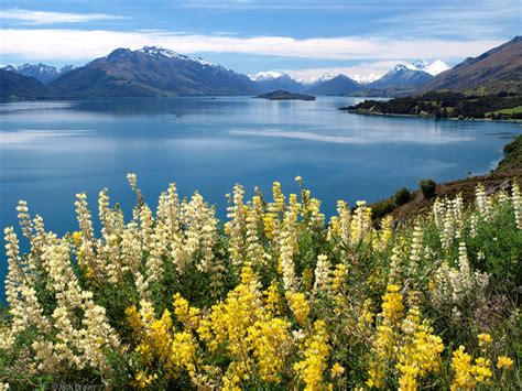 Lake Wakatipu – Mountain Photographer : a journal by Jack Brauer