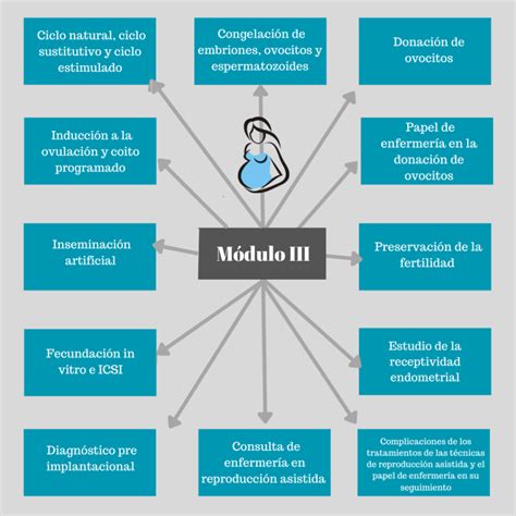 Transforma Vidas Con Conocimiento Curso De Reproducci N Asistida Para