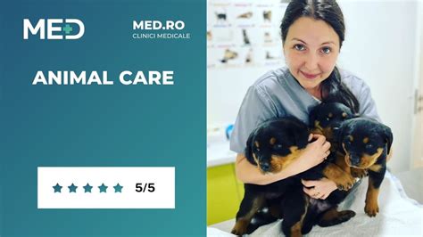 Veterinar Constanta Top 5 Clinici Prețuri Programare Online