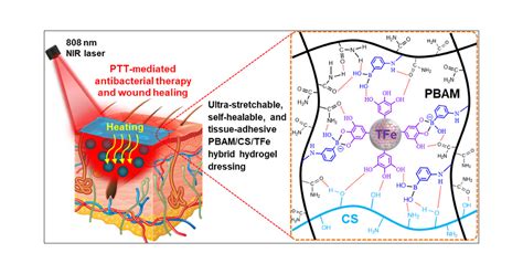 Ultrastretchable Self Healable And Tissue Adhesive Hydrogel Dressings