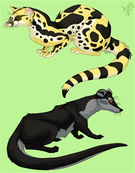 Civets by LobaFeroz on DeviantArt