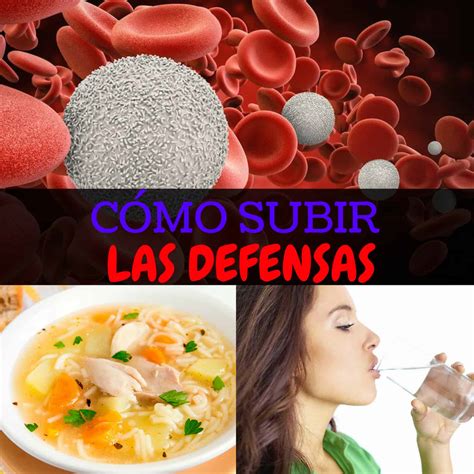 C Mo Subir Las Defensas De Nuestro Cuerpo Impulsores Del Sistema