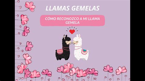 Llamas Gemelas ¿cÓmo Reconozco A Mi Llama Gemela Youtube