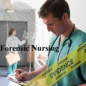 Forensic Nursing Career At A Glance Eight Great Forensic Nurse Specialties