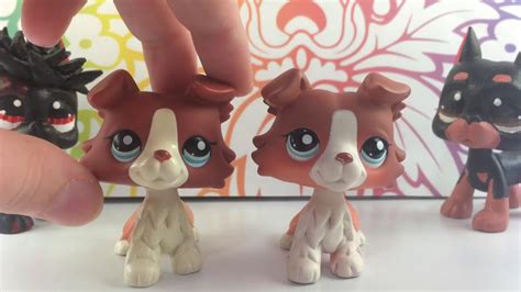 How Do Lps Real Collie Looks