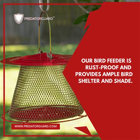 Collapsible Hanging Mesh Bird Feeder | Predator Guard | Predator Guard