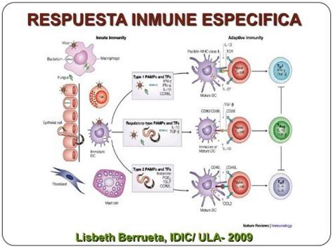 RESPUESTA INMUNITARIA