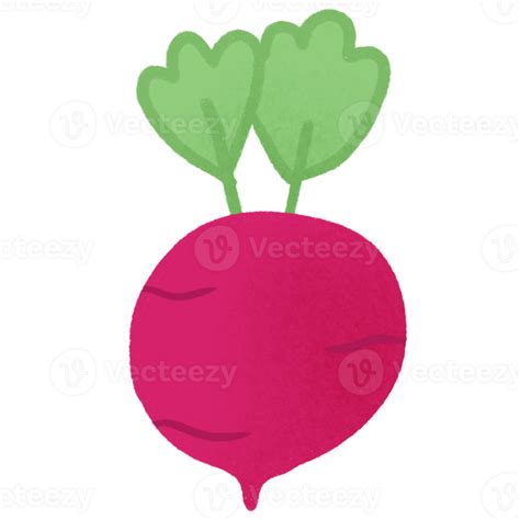 Red Radish Cartoon Illustration 26571225 PNG