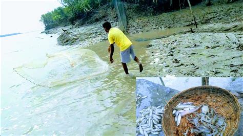 বর্ষার দিনে সুন্দরবন নদীতে জাল দিয়ে পারশে মাছ এবং চিংড়ি মাছ ধরলাম