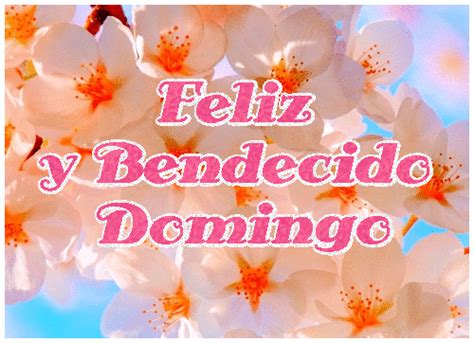 100 Imágenes Cristianas FELIZ DOMINGO Bonitas 2024