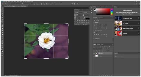 Cómo Aumentar La Resolución De La Imagen En Photoshop Al Instante