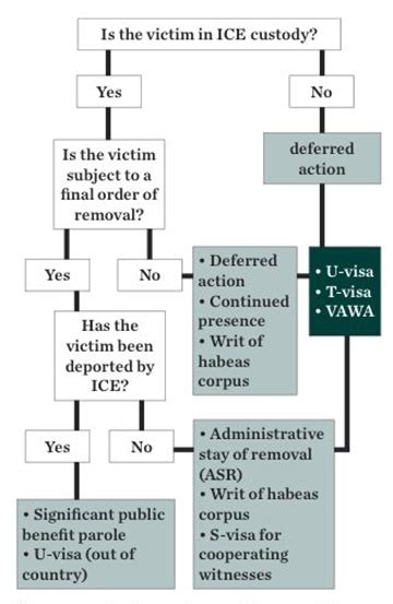 ﻿a Prosecutors Immigration Toolkit Texas District And County Attorneys