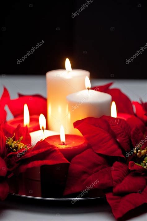 Poinsettia Centerpiece Stock Photo by ©derek@hatfielddesign.com 48490901