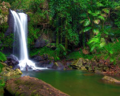 Amazing Tropical Waterfall Wallpapers Wallpaper Box