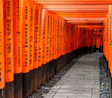 Fushimi Kyoto Kansai Region Japan Asia Torii Gates Leading To