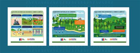 Infografías sobre bosques y cambio climático CONAF Behance