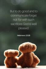 Helpful Bible Verses About Supporting Others