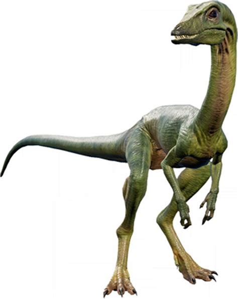 Compsognathus Size