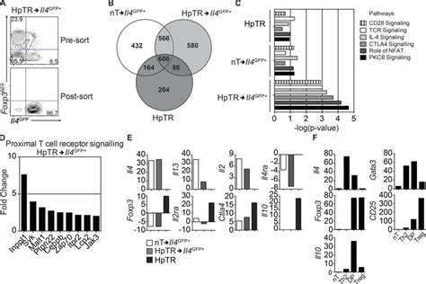 Gene Expression Profiling Reveals Ex Foxp Cells Express Characteristic