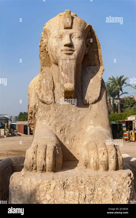 Alabaster Sphinx Of Memphis Egypt Stock Photo Alamy