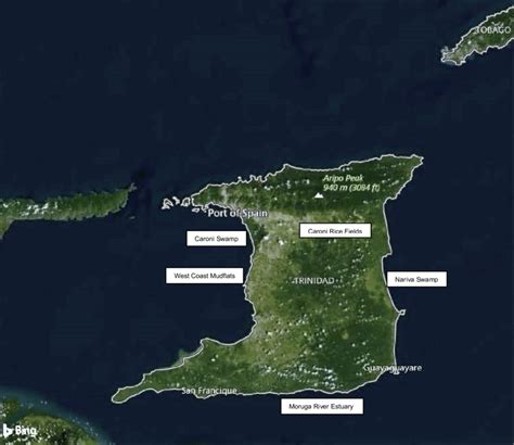 Key Wetlands And Geographic Landmarks In Trinidad And Tobago From Bing