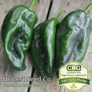 40 Hot Serrano Pepper Seeds Honest Seed Co