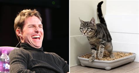 Animal Shelter Lets Donors Name Cat Litter Boxes After Their Exes For