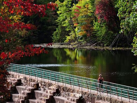 Free admission to Bays Mountain Park on August 27 - Bays Mountain Park and Planetarium