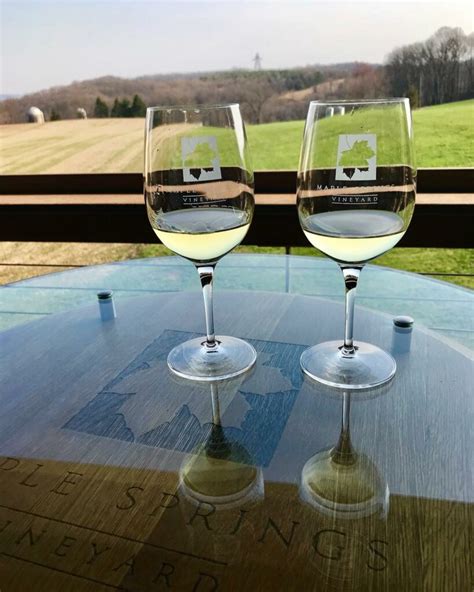 These grapes are the Pennsylvania wine industry's next big thing ...