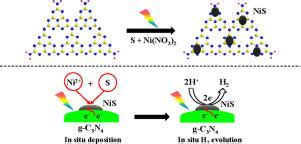 NiS助催化剂的硫介导光沉积合成提高g C3N4光催化剂的析氢性能 Chinese Journal of Catalysis X MOL
