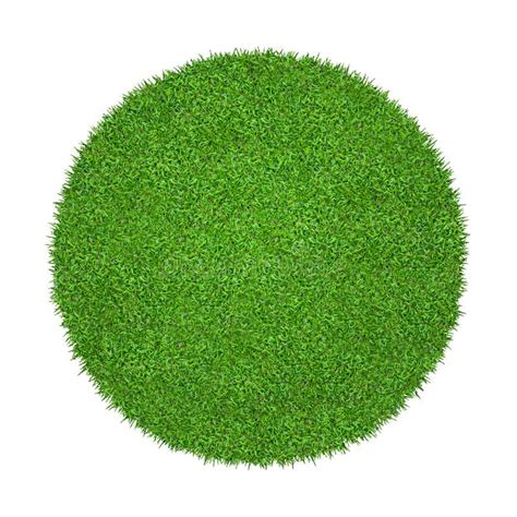 Abstract Green Grass Texture For Background Circle Green Grass Pattern