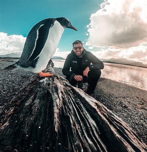 O que fazer em Ushuaia 9 Atrações Imperdíveis do Fim do Mundo