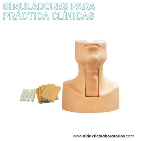 Traqueostomía simulador Didaktica Laboratorios