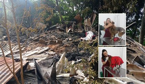 Noticias Ibagué Veladora Generó Tragedia En Zona Rural De Ibagué Alerta Tolima