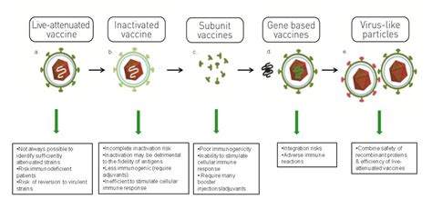 Virus Like Particle Vlp Services Creative Biostructure