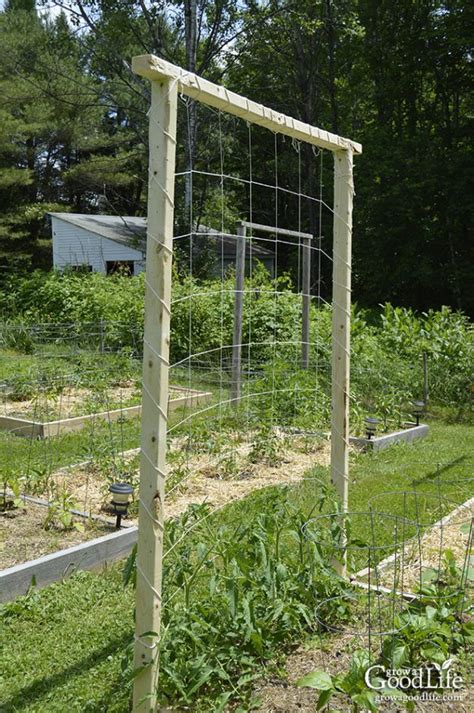 Creative Diy Tomato Trellis Ideas