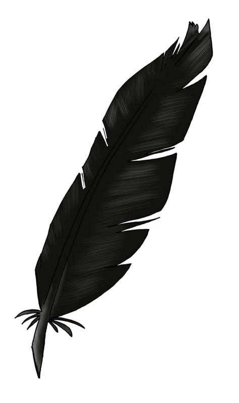 Feather Black Png Images Hd Png Play