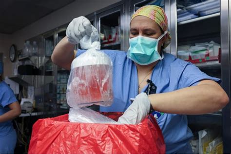 Nuevo hito en medicina realizan con éxito el primer trasplante de