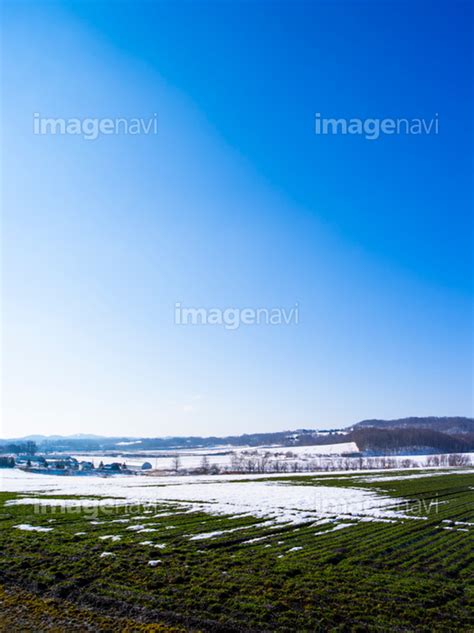 【雪解けの畑】の画像素材50271241 写真素材ならイメージナビ