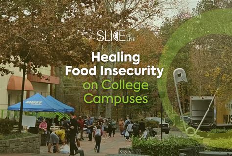 Healing Food Insecurity On College Campuses Living At Life University